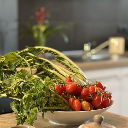 Family Inn San Maurizio Canavese المظهر الخارجي الصورة
